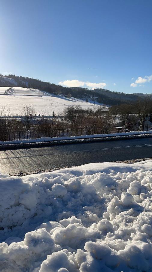 App Mit Seeblick Am Hillebachsee In Winterberg Ot Eksteriør billede